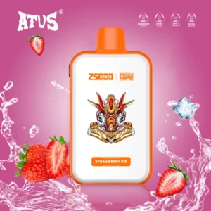 ATVS 25K Bouffées Vape Jetable Rechargeable 25000 Boutique Livraison Gratuite