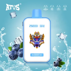 ATVS 25K Bouffées Vape Jetable Rechargeable 25000 Boutique Livraison Gratuite