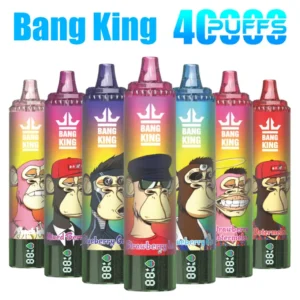Bang King 40000 Bouffées Vape Jetable Pas Cher Vente en Gros Livraison Gratuite