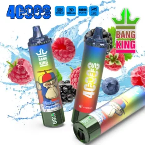 Bang King 40000 Bouffées Vape Jetable Pas Cher Vente en Gros Livraison Gratuite