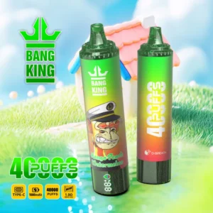 Bang King 40000 Bouffées Vape Jetable Pas Cher Vente en Gros Livraison Gratuite