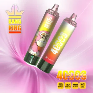 Bang King 40000 Bouffées Vape Jetable Pas Cher Vente en Gros Livraison Gratuite