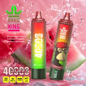 Bang King 40000 Bouffées Vape Jetable Pas Cher Vente en Gros Livraison Gratuite