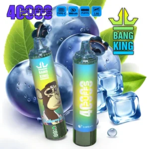 Bang King 40000 Bouffées Vape Jetable Pas Cher Vente en Gros Livraison Gratuite