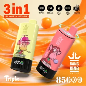 Bang King 85k Puffs 3 en 1 Meilleur Vape Jetable d’Usine Livraison Gratuite Entrepôt UE