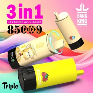 Bang King 85k Puffs 3 en 1 Meilleur Vape Jetable d’Usine Livraison Gratuite Entrepôt UE