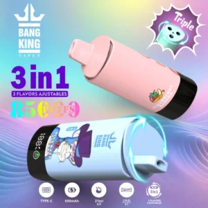 Bang King 85k Puffs 3 en 1 Meilleur Vape Jetable d’Usine Livraison Gratuite Entrepôt UE