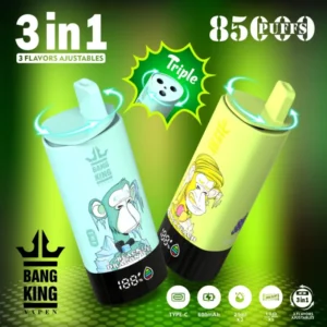Bang King 85k Puffs 3 en 1 Meilleur Vape Jetable d’Usine Livraison Gratuite Entrepôt UE