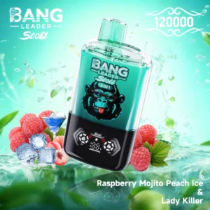 Bang Leader Stoll 120k Bouffées Cigarette Électronique Jetable 2 en 1 Double Saveurs Livraison Gratuite