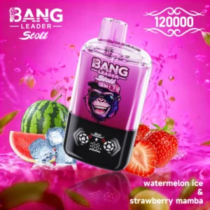 Bang Leader Stoll 120k Bouffées Cigarette Électronique Jetable 2 en 1 Double Saveurs Livraison Gratuite