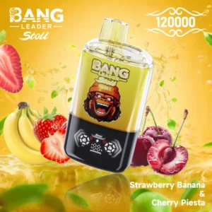 Bang Leader Stoll 120k Bouffées Cigarette Électronique Jetable 2 en 1 Double Saveurs Livraison Gratuite