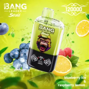 Bang Leader Stoll 120k Bouffées Cigarette Électronique Jetable 2 en 1 Double Saveurs Livraison Gratuite