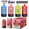 Bang Leader Stoll 300k Bouffées 6 en 1 Vape Jetable 300000 Vente en Gros Livraison Gratuite