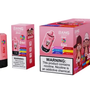 Bang Leader Stoll 300k Bouffées 6 en 1 Vape Jetable 300000 Vente en Gros Livraison Gratuite