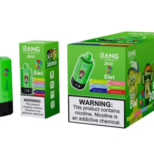 Bang Leader Stoll 300k Bouffées 6 en 1 Vape Jetable 300000 Vente en Gros Livraison Gratuite