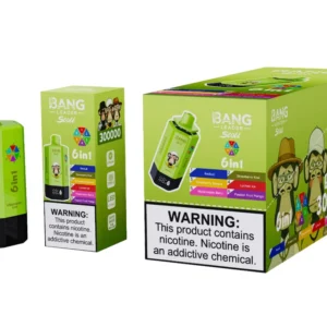 Bang Leader Stoll 300k Bouffées 6 en 1 Vape Jetable 300000 Vente en Gros Livraison Gratuite
