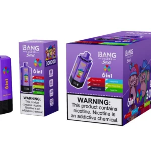 Bang Leader Stoll 300k Bouffées 6 en 1 Vape Jetable 300000 Vente en Gros Livraison Gratuite