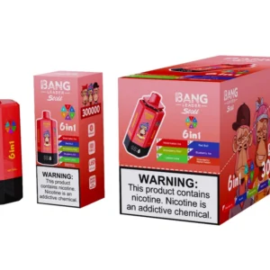 Bang Leader Stoll 300k Bouffées 6 en 1 Vape Jetable 300000 Vente en Gros Livraison Gratuite
