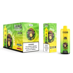 Bang Legend 110k Bouffées 110000 3 en 1 Vape Jetable 3 à 7 Jours Ouvrables Entrepôt UE