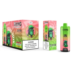 Bang Legend 110k Bouffées 110000 3 en 1 Vape Jetable 3 à 7 Jours Ouvrables Entrepôt UE