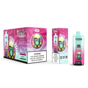 Bang Legend 110k Bouffées 110000 3 en 1 Vape Jetable 3 à 7 Jours Ouvrables Entrepôt UE