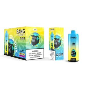 Bang Legend 110k Bouffées 110000 3 en 1 Vape Jetable 3 à 7 Jours Ouvrables Entrepôt UE
