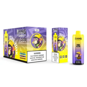 Bang Legend 110k Bouffées 110000 3 en 1 Vape Jetable 3 à 7 Jours Ouvrables Entrepôt UE