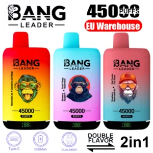 EU Puff Bang Leader 45k Bouffées 2 en 1 Deux Saveurs Vape Jetable Livraison Rapide