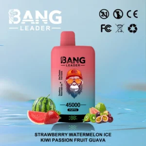 EU Puff Bang Leader 45k Bouffées 2 en 1 Deux Saveurs Vape Jetable Livraison Rapide