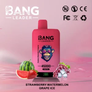EU Puff Bang Leader 45k Bouffées 2 en 1 Deux Saveurs Vape Jetable Livraison Rapide