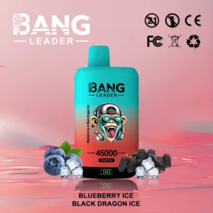 EU Puff Bang Leader 45k Bouffées 2 en 1 Deux Saveurs Vape Jetable Livraison Rapide