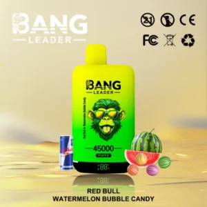 EU Puff Bang Leader 45k Bouffées 2 en 1 Deux Saveurs Vape Jetable Livraison Rapide