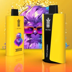 EU Vape Bang King 30k Puffs Pro 30000 Cigarette Électronique Jetable avec Livraison Rapide et Livraison Gratuite