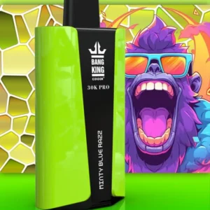 EU Vape Bang King 30k Puffs Pro 30000 Cigarette Électronique Jetable avec Livraison Rapide et Livraison Gratuite