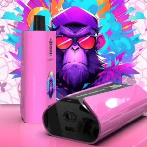 EU Vape Bang King 30k Puffs Pro 30000 Cigarette Électronique Jetable avec Livraison Rapide et Livraison Gratuite
