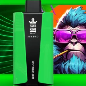 EU Vape Bang King 30k Puffs Pro 30000 Cigarette Électronique Jetable avec Livraison Rapide et Livraison Gratuite