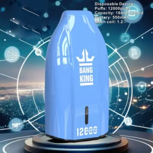Entrepôt UE Bang King 12000 Bouffées Vape Jetable Pas Cher Vente en Gros Livraison Gratuite 3 à 7 Jours Ouvrés
