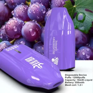 Entrepôt UE Bang King 12000 Bouffées Vape Jetable Pas Cher Vente en Gros Livraison Gratuite 3 à 7 Jours Ouvrés