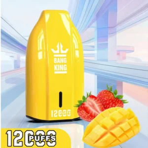 Entrepôt UE Bang King 12000 Bouffées Vape Jetable Pas Cher Vente en Gros Livraison Gratuite 3 à 7 Jours Ouvrés