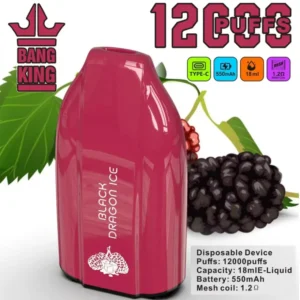Entrepôt UE Bang King 12000 Bouffées Vape Jetable Pas Cher Vente en Gros Livraison Gratuite 3 à 7 Jours Ouvrés