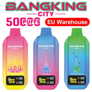 Entrepôt UE Bang King 50k Puffs City Vape Jetable 50000 Livraison Gratuite 3 à 7 Jours Ouvrés