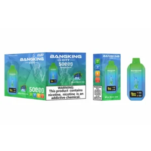 Entrepôt UE Bang King 50k Puffs City Vape Jetable 50000 Livraison Gratuite 3 à 7 Jours Ouvrés