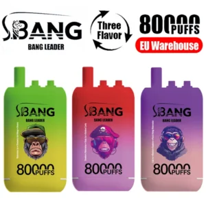 Entrepôt UE Bang Leader 80k Bouffées 80000 Trois Saveurs Vape Jetable 3 en 1 Boutique