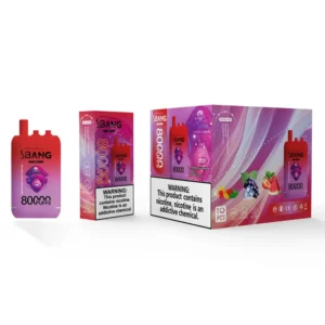 Entrepôt UE Bang Leader 80k Bouffées 80000 Trois Saveurs Vape Jetable 3 en 1 Boutique