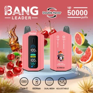 Bang Leader 50k Bouffées 2 En 1 Double Saveurs Meilleure Vape Jetable 50000 Livraison Gratuite