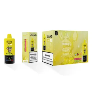 Bang Leader 85k Bouffées 3 En 1 Meilleure Vape Jetable 85000 Livraison Gratuite