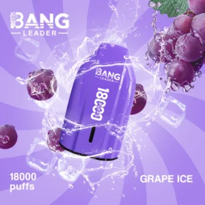 Bang Leader 18000 bouffées vape jetable 18k prix pas cher vente en gros livraison gratuite