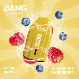 Bang Leader 18000 bouffées vape jetable 18k prix pas cher vente en gros livraison gratuite