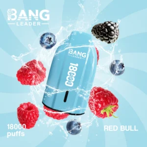 Bang Leader 18000 bouffées vape jetable 18k prix pas cher vente en gros livraison gratuite