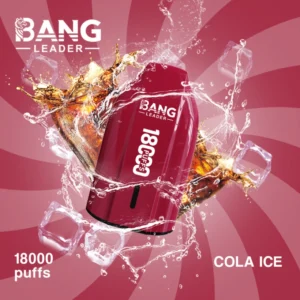 Bang Leader 18000 bouffées vape jetable 18k prix pas cher vente en gros livraison gratuite
